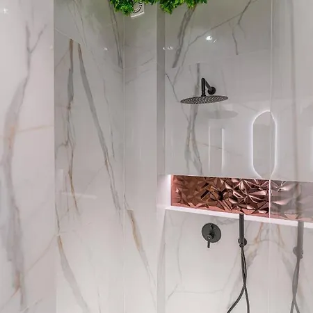 公寓 Piaseckiego 扎科帕内