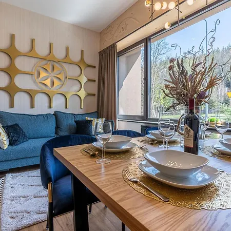 Piaseckiego 公寓 *